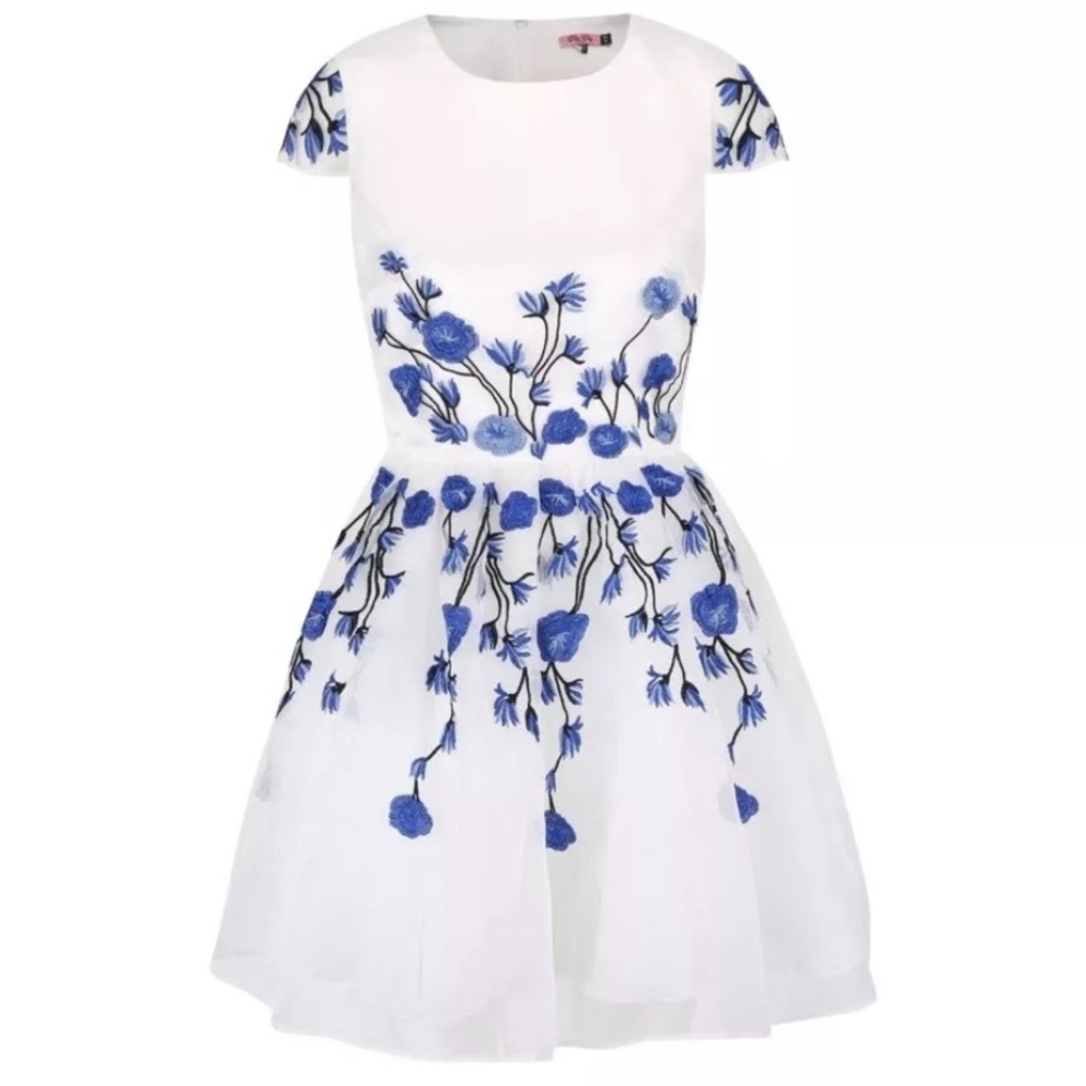 💙🤍 Chi Chi London Bride & Bloom Blue & White Floral Embroidered Dress